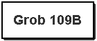 Le GROB 109B