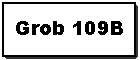 The GROB 109B
